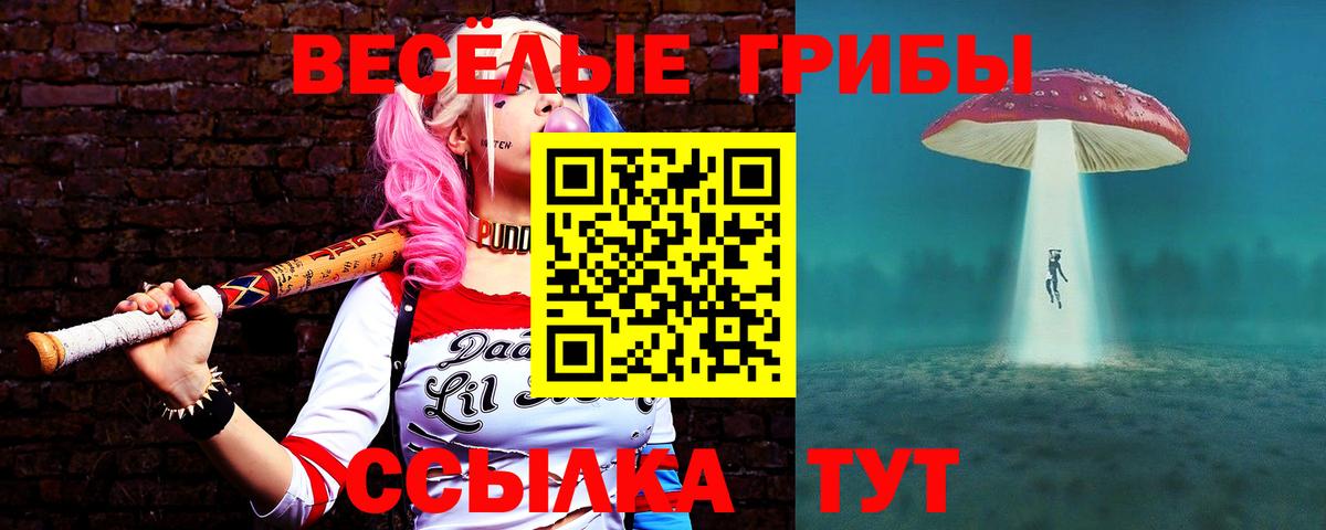 Псилоцибиновые грибы ЛСД  где найти   Хабаровск  Вход с VPN 